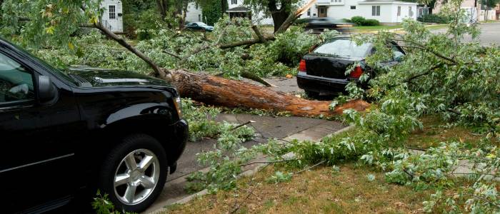 Cars destroyed by tropical wind storm