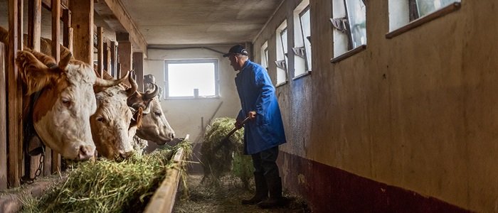 Dairy farmers