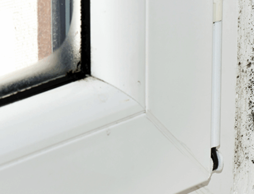 Mould prevention and removal tips for your business property