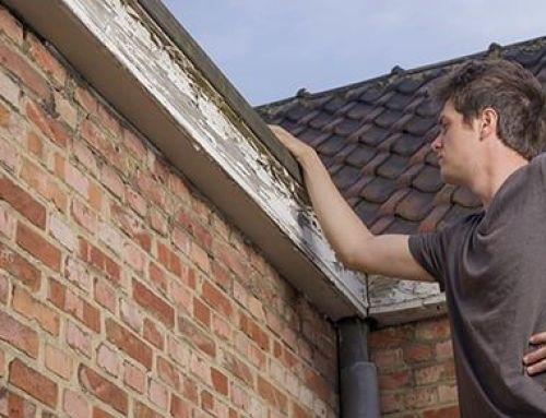 Que faut-il vérifier lors d’une inspection de toit d’automne?
